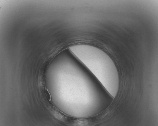 X0000081440317200701191654