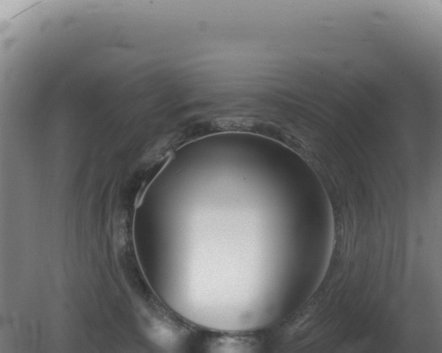 X0000081440323200701191654