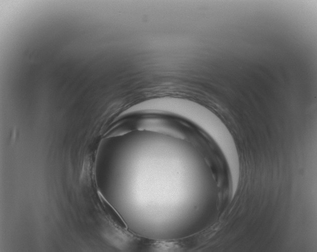 X0000081440333200701191654