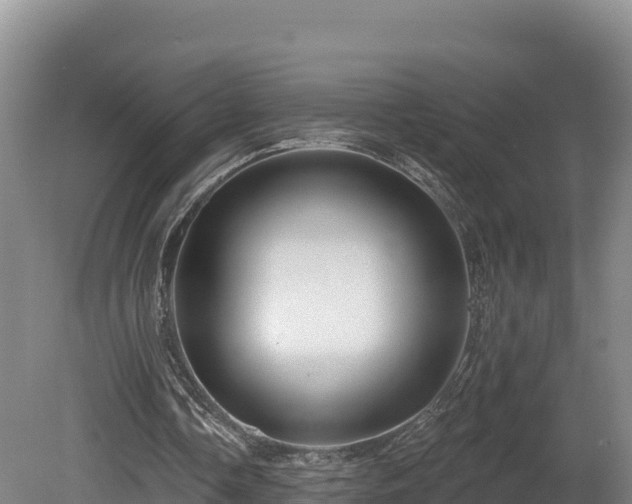 X0000081440338200701191653