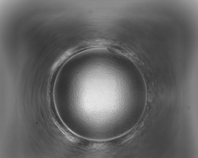 X0000081440341200701191653