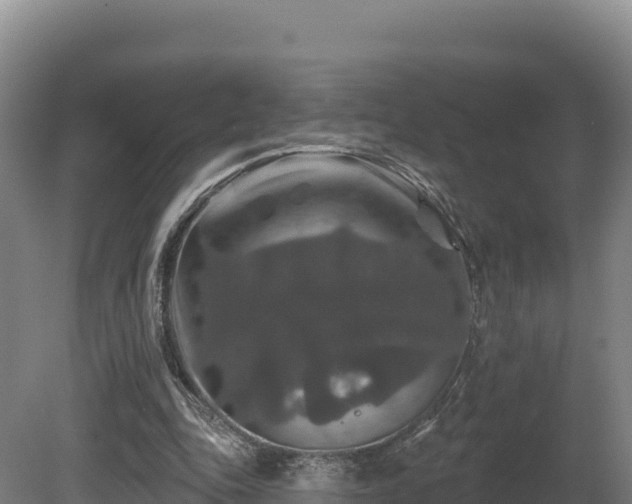 X0000081440343200701191653