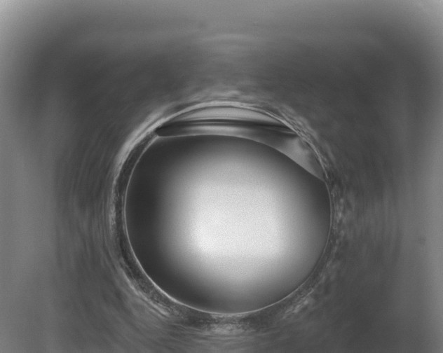 X0000081440344200701191653