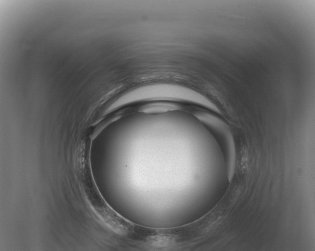 X0000081440356200701191654