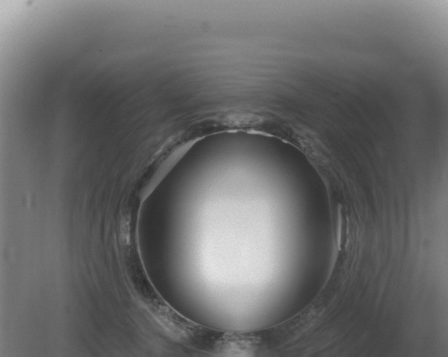 X0000081440368200701191654