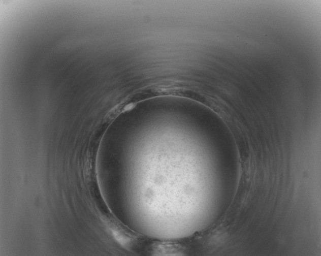 X0000081440372200701191654
