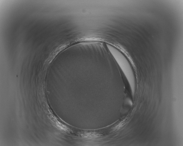 X0000081440385200701191653