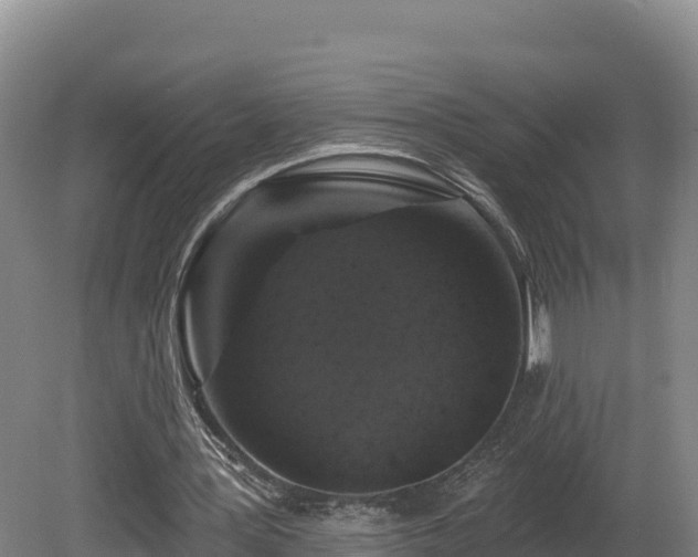 X0000081440387200701191653