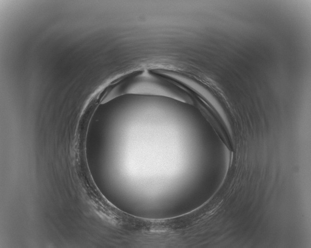 X0000081440388200701191653