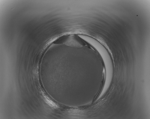 X0000081440389200701191653