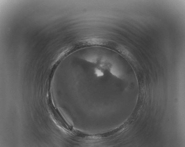 X0000081440398200701191653