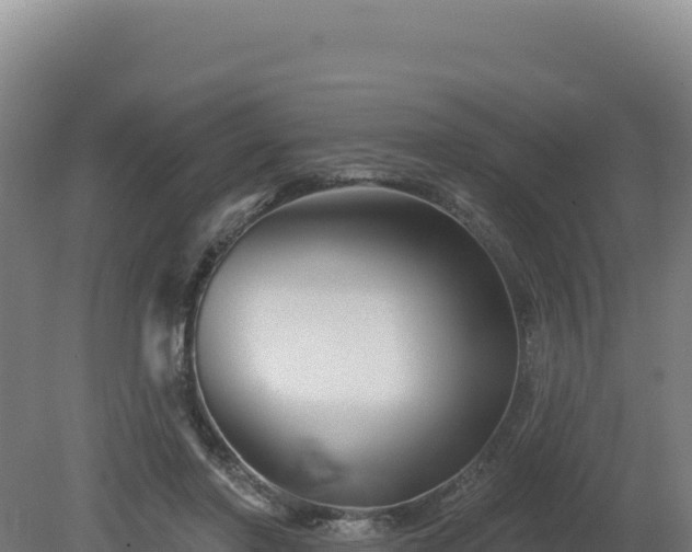 X0000081440406200701191653