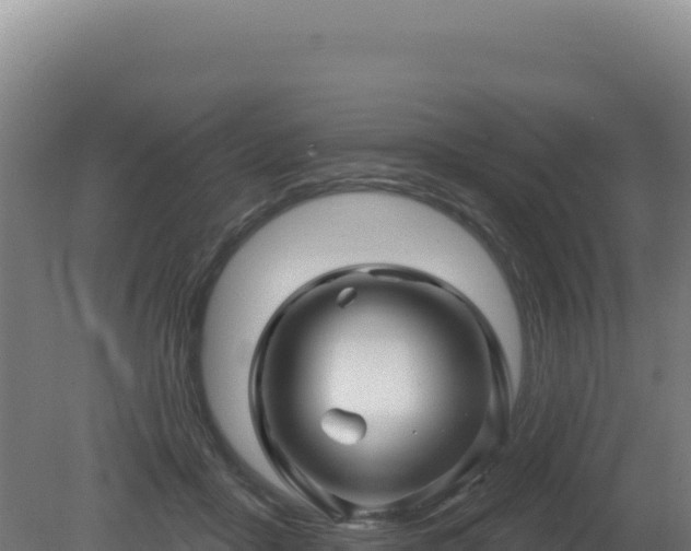 X0000081440411200701191653