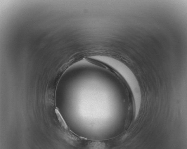 X0000081440421200701191653