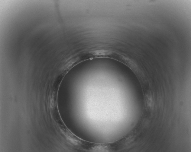 X0000081440422200701191653