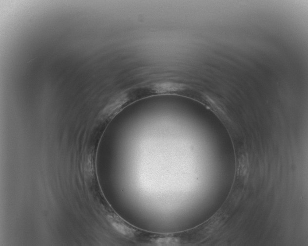 X0000081440426200701191653