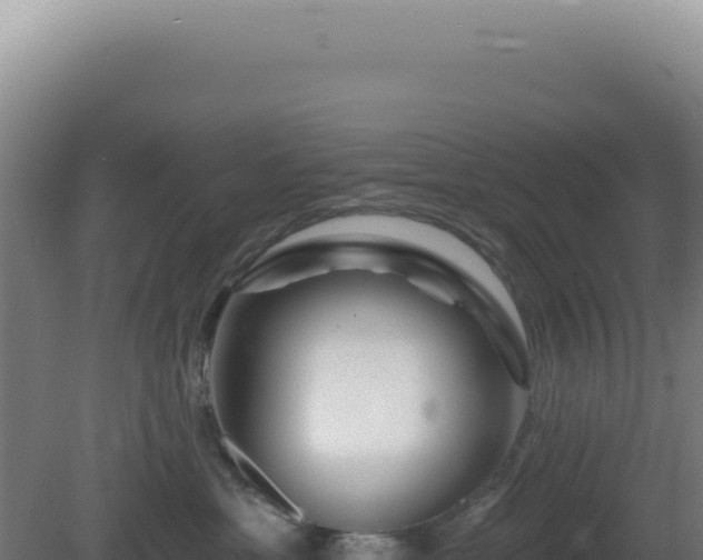 X0000081440429200701191653