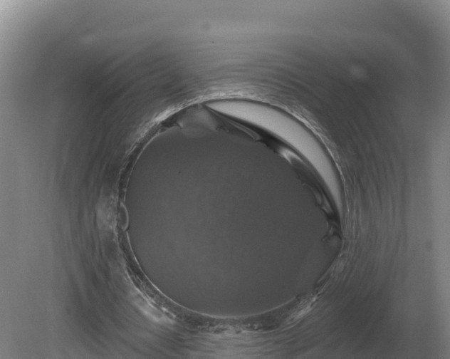 X0000081440434200701191652