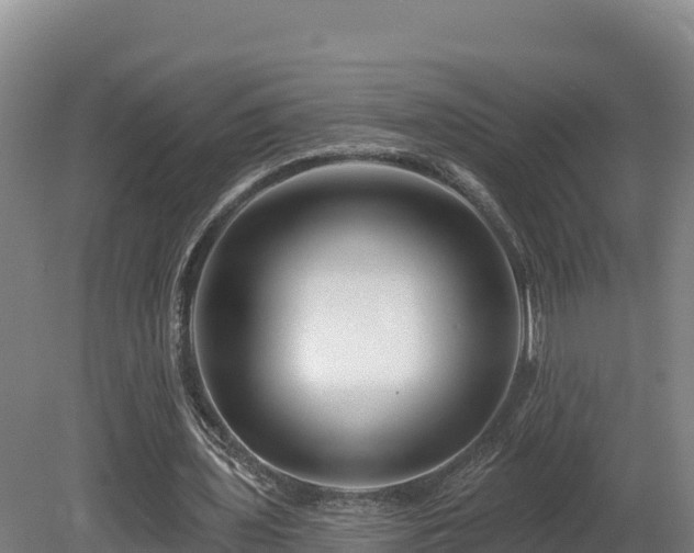 X0000081440435200701191652