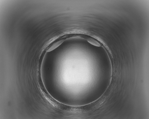X0000081440437200701191652