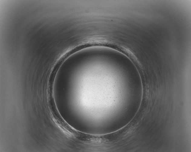 X0000081440439200701191652