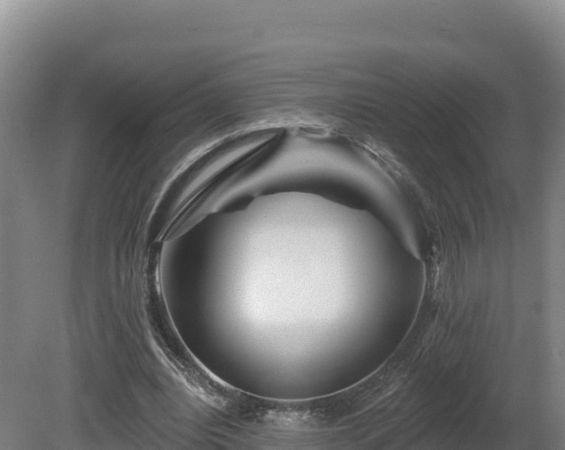 X0000081440440200701191652