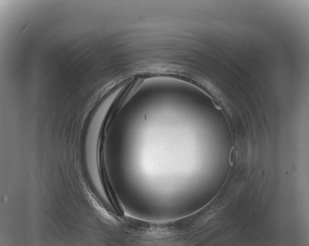 X0000081440445200701191652