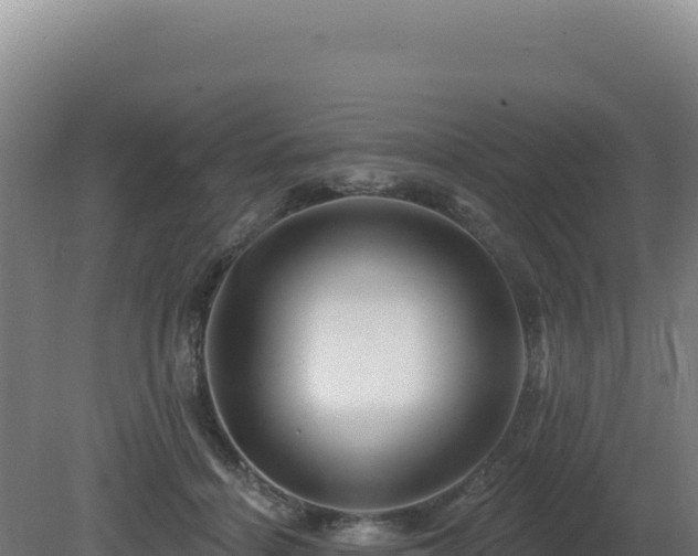 X0000081440460200701191652