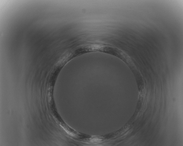 X0000081440462200701191652