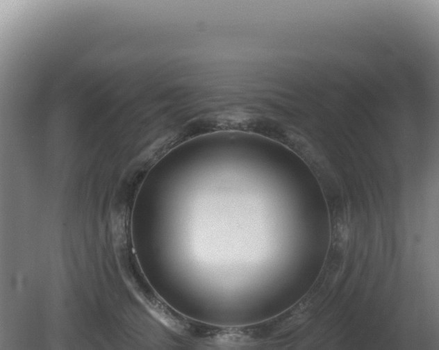 X0000081440468200701191652