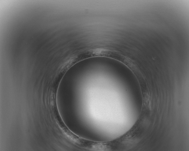 X0000081440470200701191652