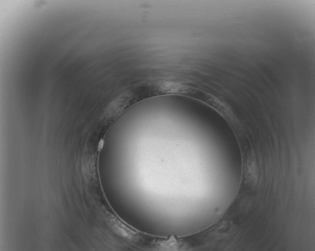 X0000081440473200701191652