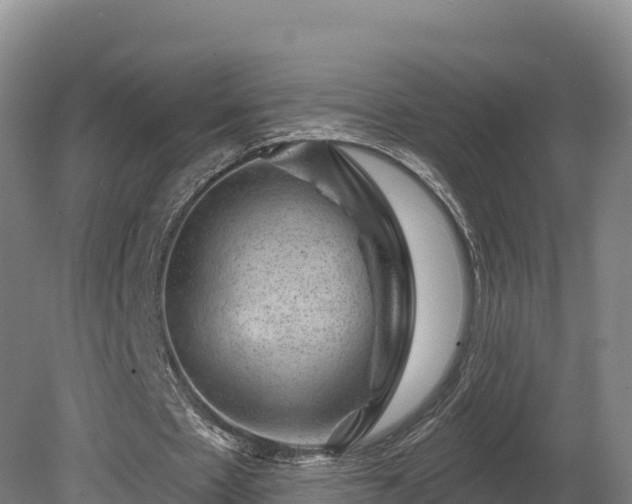 X0000081440481200701191652