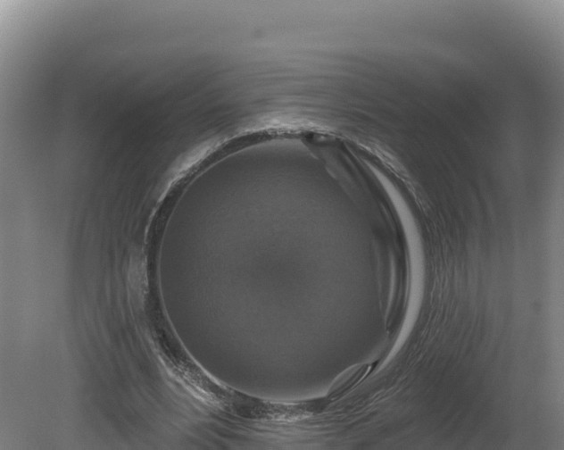 X0000081440488200701191652