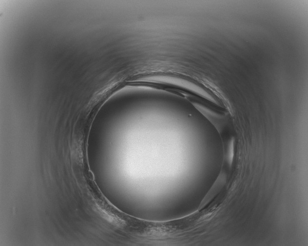 X0000081440489200701191652