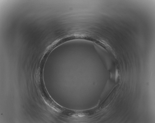 X0000081440492200701191651
