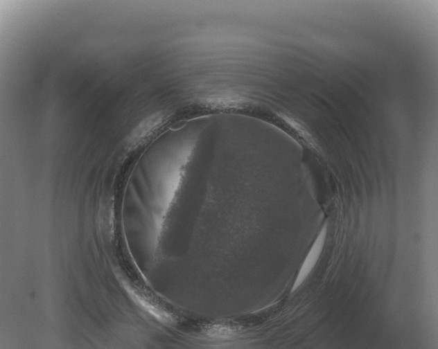 X0000081440494200701191651
