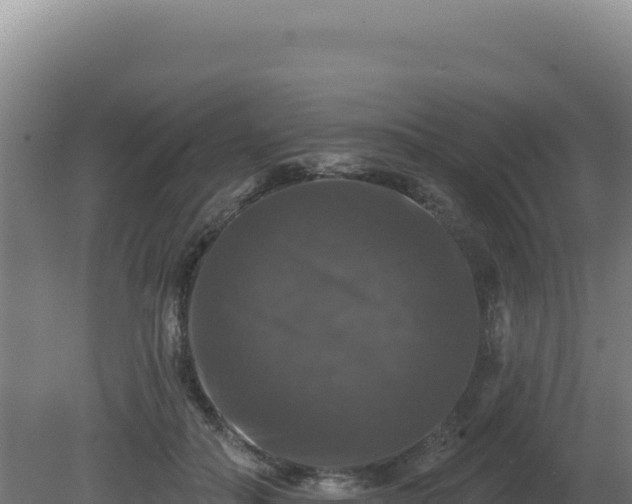 X0000081440506200701191651