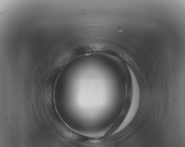 X0000081440509200701191651