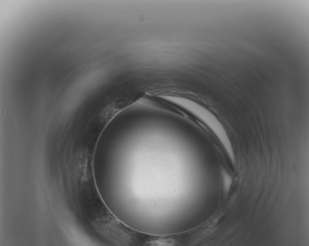 X0000081440525200701191651