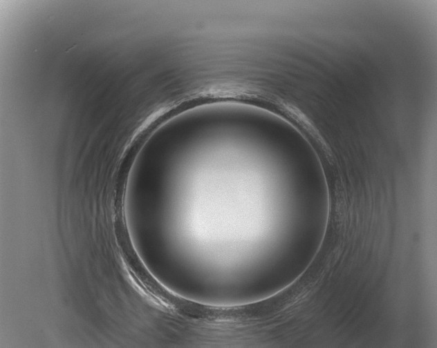 X0000081440530200701191650