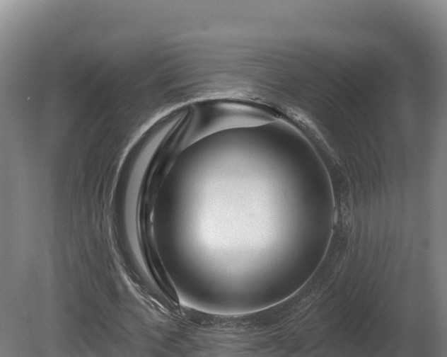 X0000081440532200701191650