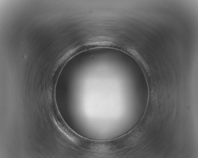 X0000081440533200701191650