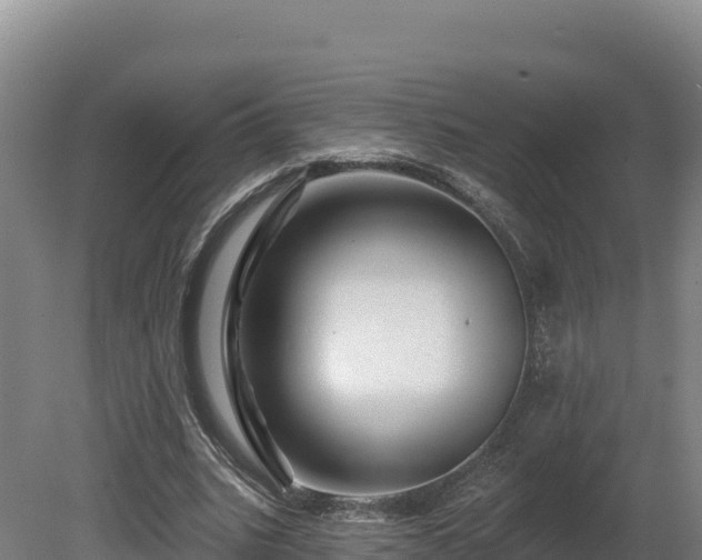 X0000081440535200701191650