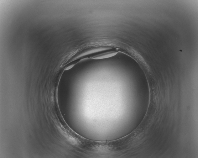 X0000081440537200701191650