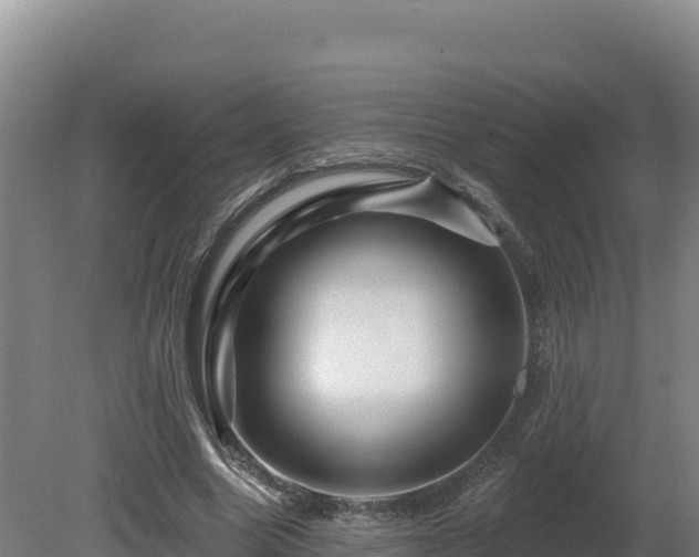 X0000081440538200701191650