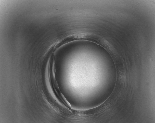 X0000081440543200701191650