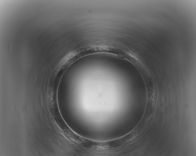 X0000081440548200701191650