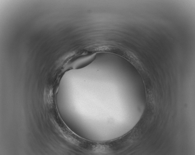 X0000081440549200701191650