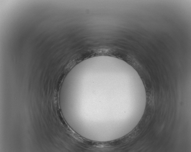 X0000081440561200701191651